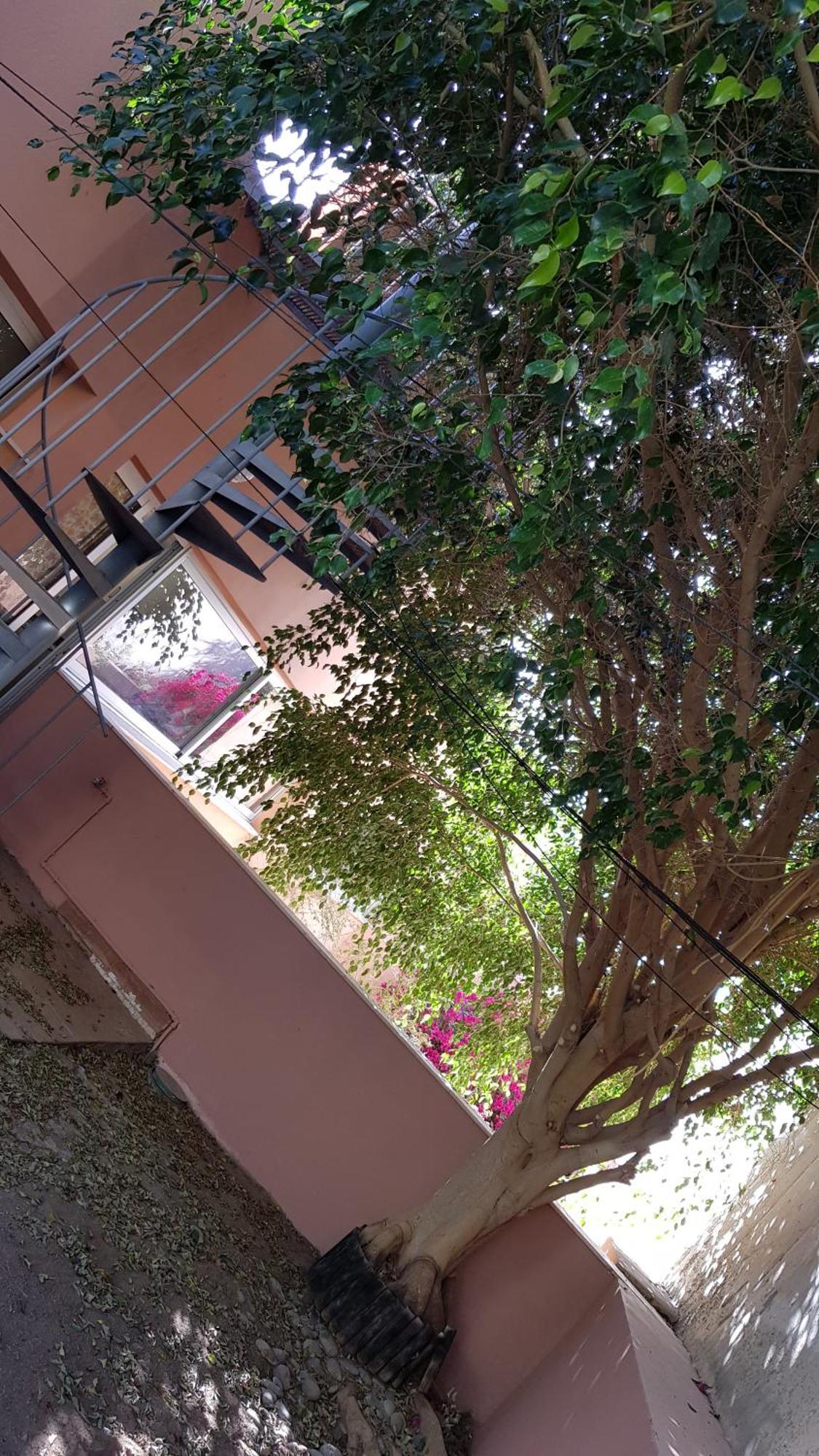 Aparthotel Strelitzia Park à San Miguel de Abona Chambre photo